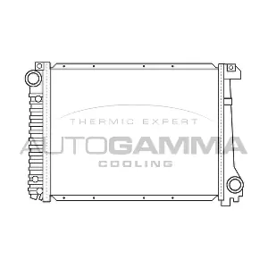 100103 AUTOGAMMA
