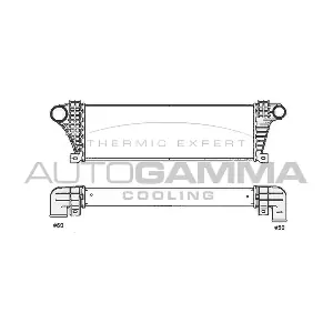 103811 AUTOGAMMA