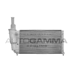 102913 AUTOGAMMA