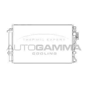 107077 AUTOGAMMA