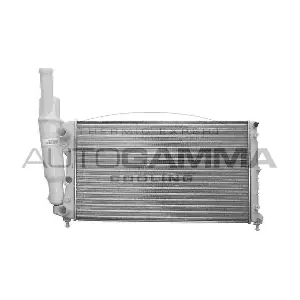 100294 AUTOGAMMA