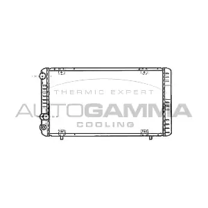 100879 AUTOGAMMA
