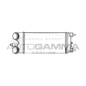 105996 AUTOGAMMA
