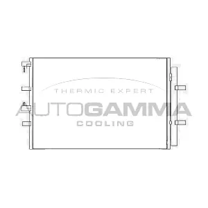 107655 AUTOGAMMA