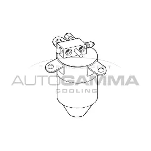 106004 AUTOGAMMA