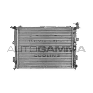 107118 AUTOGAMMA