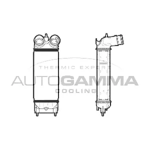 105888 AUTOGAMMA