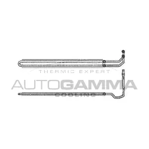 103393 AUTOGAMMA