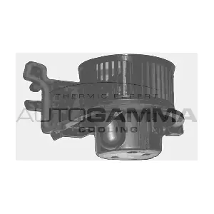 GA20342 AUTOGAMMA