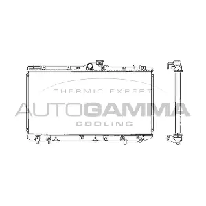 101273 AUTOGAMMA