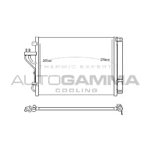 107111 AUTOGAMMA