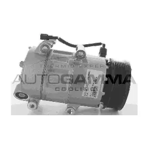 118447 AUTOGAMMA
