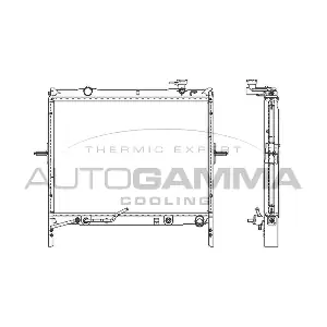 107029 AUTOGAMMA