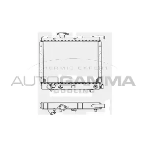 103901 AUTOGAMMA
