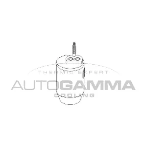 106272 AUTOGAMMA