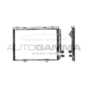 102703 AUTOGAMMA