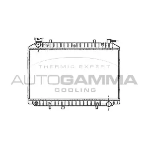AUTOGAMMA 102200