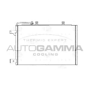 104110 AUTOGAMMA