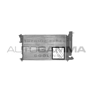 100212 AUTOGAMMA