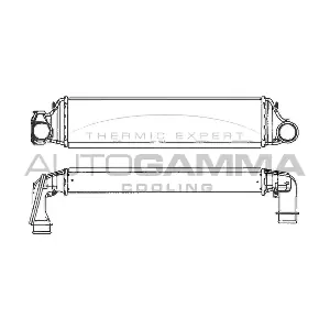 101882 AUTOGAMMA
