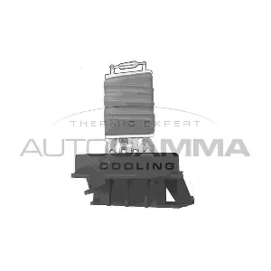 GA15460 AUTOGAMMA