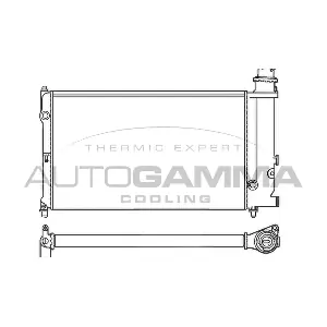 100163 AUTOGAMMA