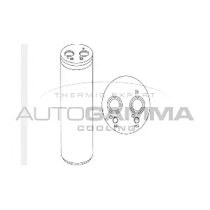 106399 AUTOGAMMA
