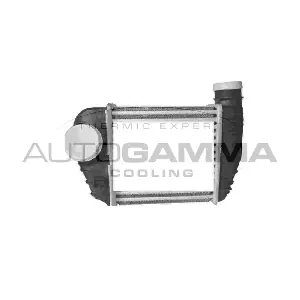 105719 AUTOGAMMA