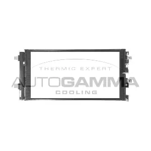 107081 AUTOGAMMA