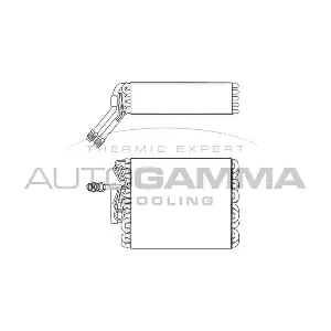 357820103 VW