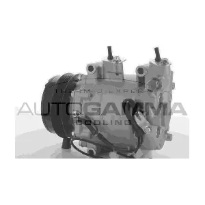 118476 AUTOGAMMA