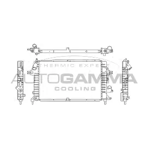 103631 AUTOGAMMA