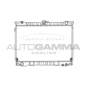 100610 AUTOGAMMA