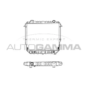 100441 AUTOGAMMA