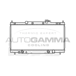 107023 AUTOGAMMA