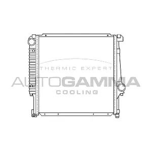 100105 AUTOGAMMA