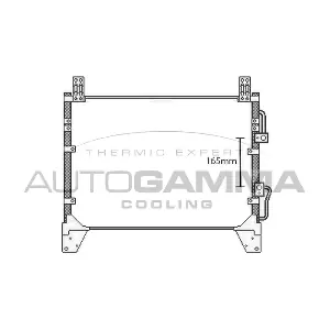 107974 AUTOGAMMA