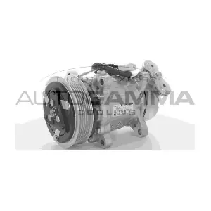 118382 AUTOGAMMA