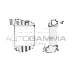 104405 AUTOGAMMA