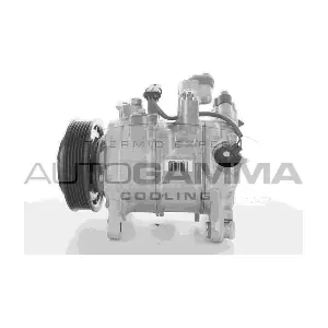 118399 AUTOGAMMA