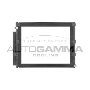 107691 AUTOGAMMA