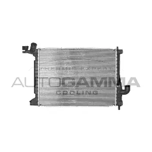 102007 AUTOGAMMA