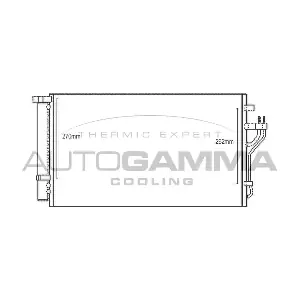 107110 AUTOGAMMA