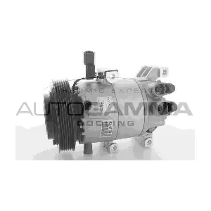 118367 AUTOGAMMA