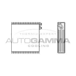 112064 AUTOGAMMA