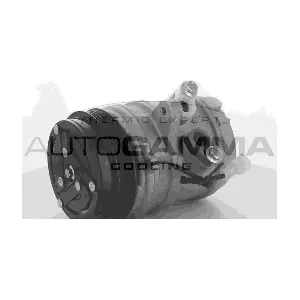 108657 AUTOGAMMA