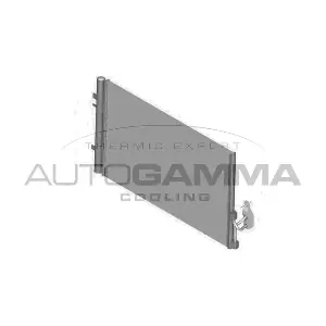 107115 AUTOGAMMA