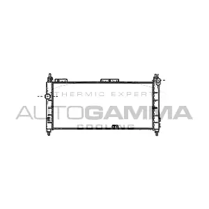 102222 AUTOGAMMA