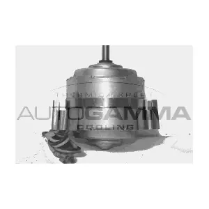 4153620 FIAT