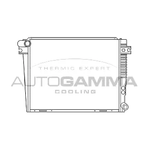 100122 AUTOGAMMA